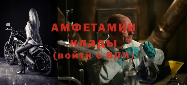 дмт Дмитровск