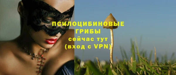 круглые Гусь-Хрустальный