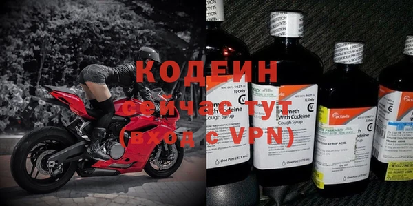 не бодяженный Гусев