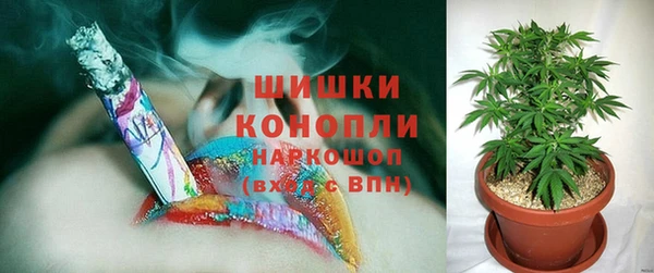 не бодяженный Гусев